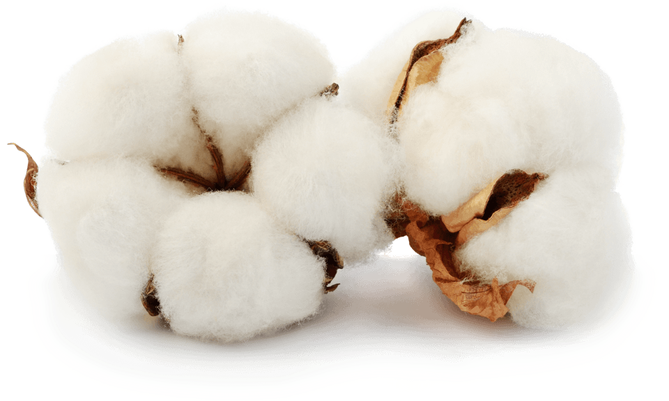 ACSA – AMERICAN COTTON SHIPPERS ASSOCIATION